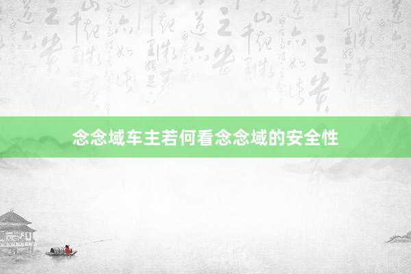 念念域车主若何看念念域的安全性